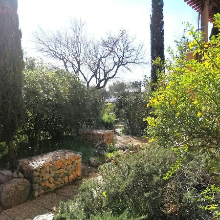 T2 36 M2, Rdc De Villa, Clim, Gd Jardin Clos, Animx Ok, Quartier Mt Faron Tres Calme, Wifi, Parking Тулон Екстер'єр фото