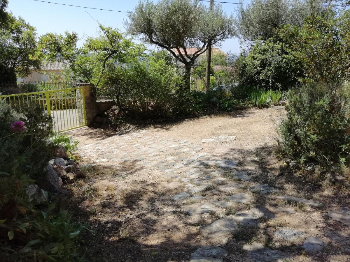 T2 36 M2, Rdc De Villa, Clim, Gd Jardin Clos, Animx Ok, Quartier Mt Faron Tres Calme, Wifi, Parking Тулон Екстер'єр фото